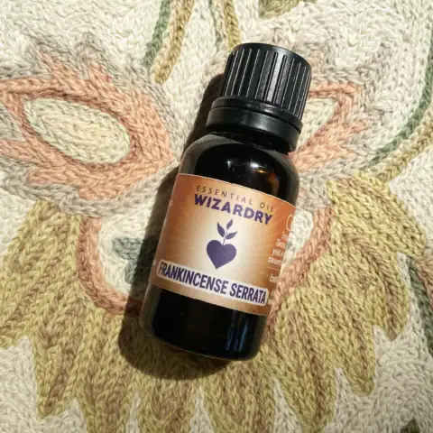 Frankincense Serrata