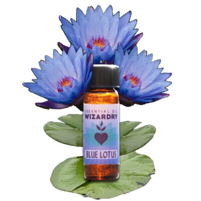 blue lotus flowers around bottle of blue lotus absolute