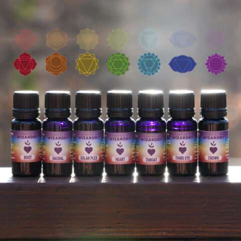 Divine Align Chakra Set