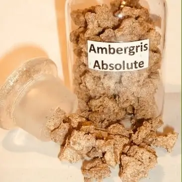 Ambergris Perfume