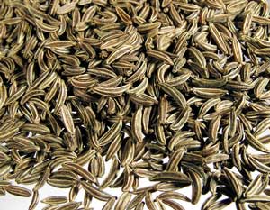Caraway Oil (CO2)