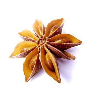Star Anise Extract (CO2)