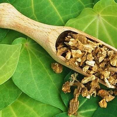 Kava Tincture Package