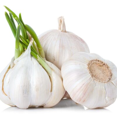 Garlic Extract (CO2)
