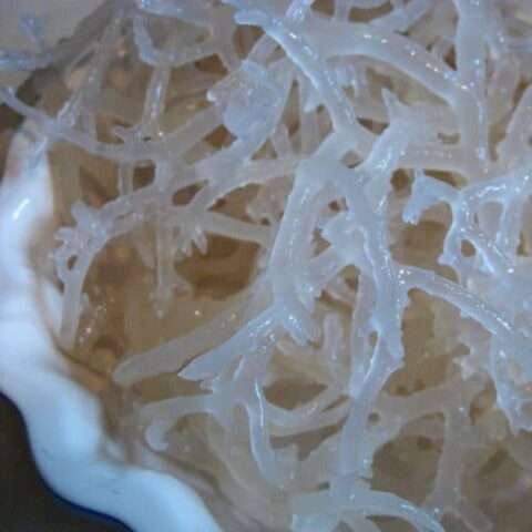 sea moss