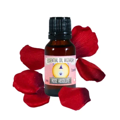 Rose Absolute