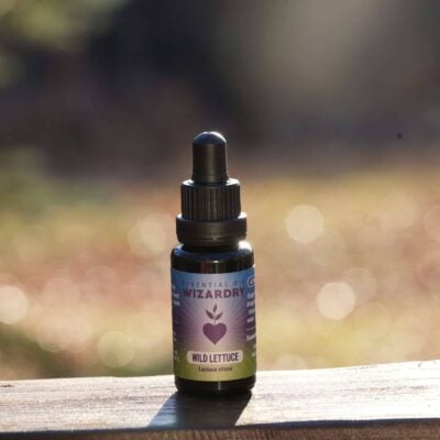Wild Lettuce Tincture