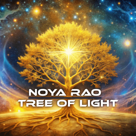 NOYA RAO TREE OF LIGHT