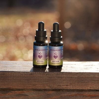 Brain Tincture Set