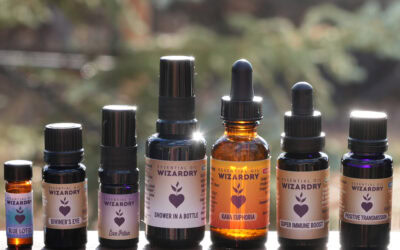 Take Our Quiz: Discover Which Botanical Allies Are Calling Your Name!