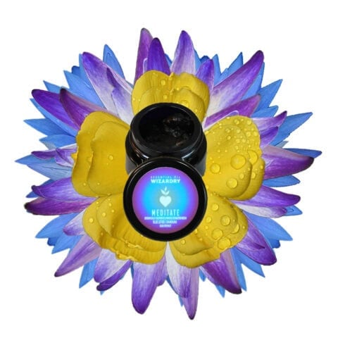 Meditate-resin-plants