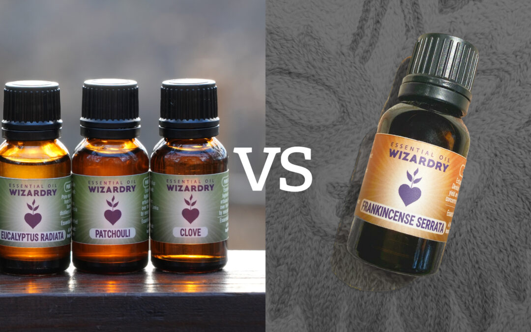 Steam Distilled vs CO2 Extracted Essential Oils: What’s the Difference?