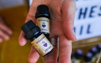 How To Choose The Right Essential Oil Brand: A Buyer’s Guide