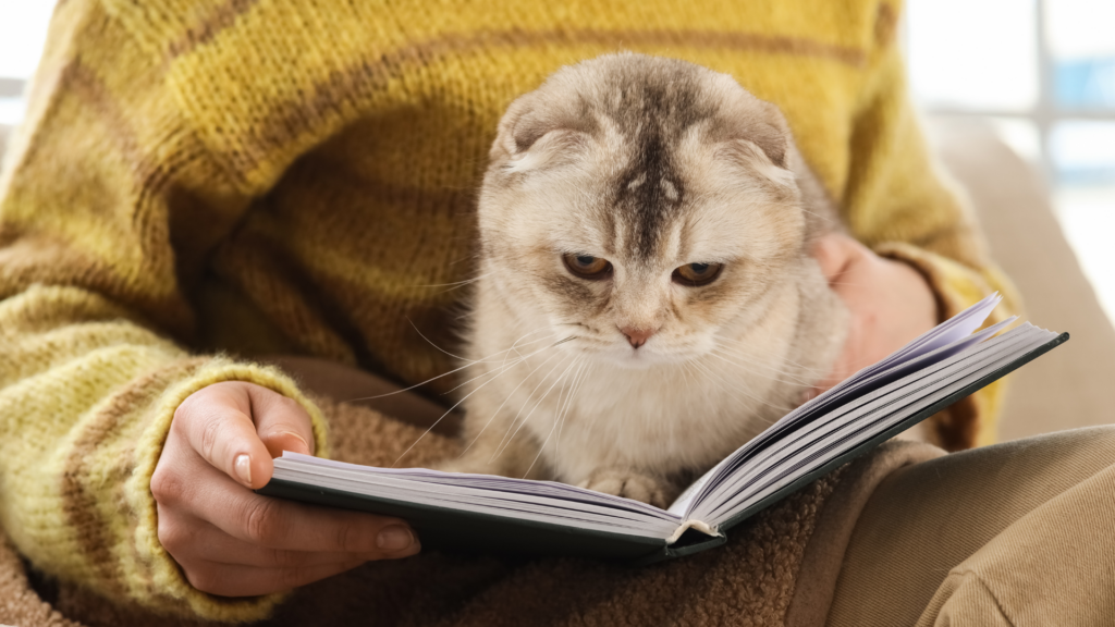 Cat Owner Learning About Essential Oil Safety