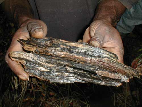 Oud (Agarwood) - Image 2