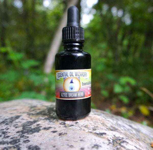 Ultrasonic Aztec Dream Herb Tincture (Calea Zacatechichi Tincture) *Members Only* - Image 3