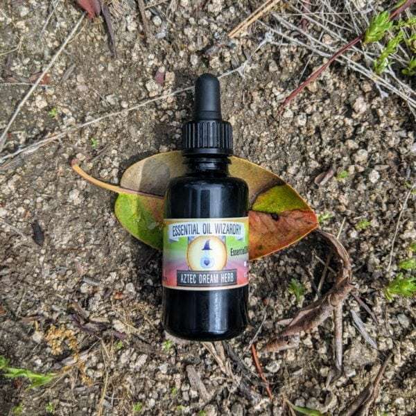 Ultrasonic Aztec Dream Herb Tincture (Calea Zacatechichi Tincture) *Members Only* - Image 2