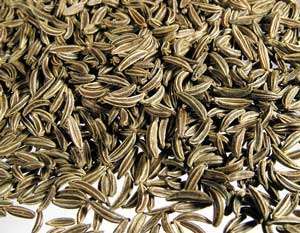 Caraway (CO2)