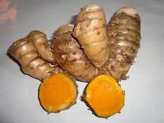 Curcuma Xanthorrhiza (CO2) - Image 2