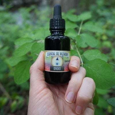 Ultrasonic Gingko Biloba Tincture