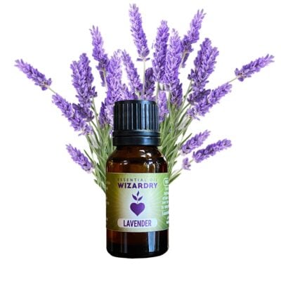 Lavender