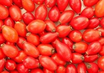 Rosehip Seed Oil (CO2)