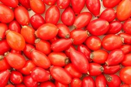 Rosehip Seed Oil (CO2)