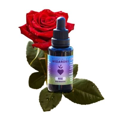 Ultrasonic Rose Tincture