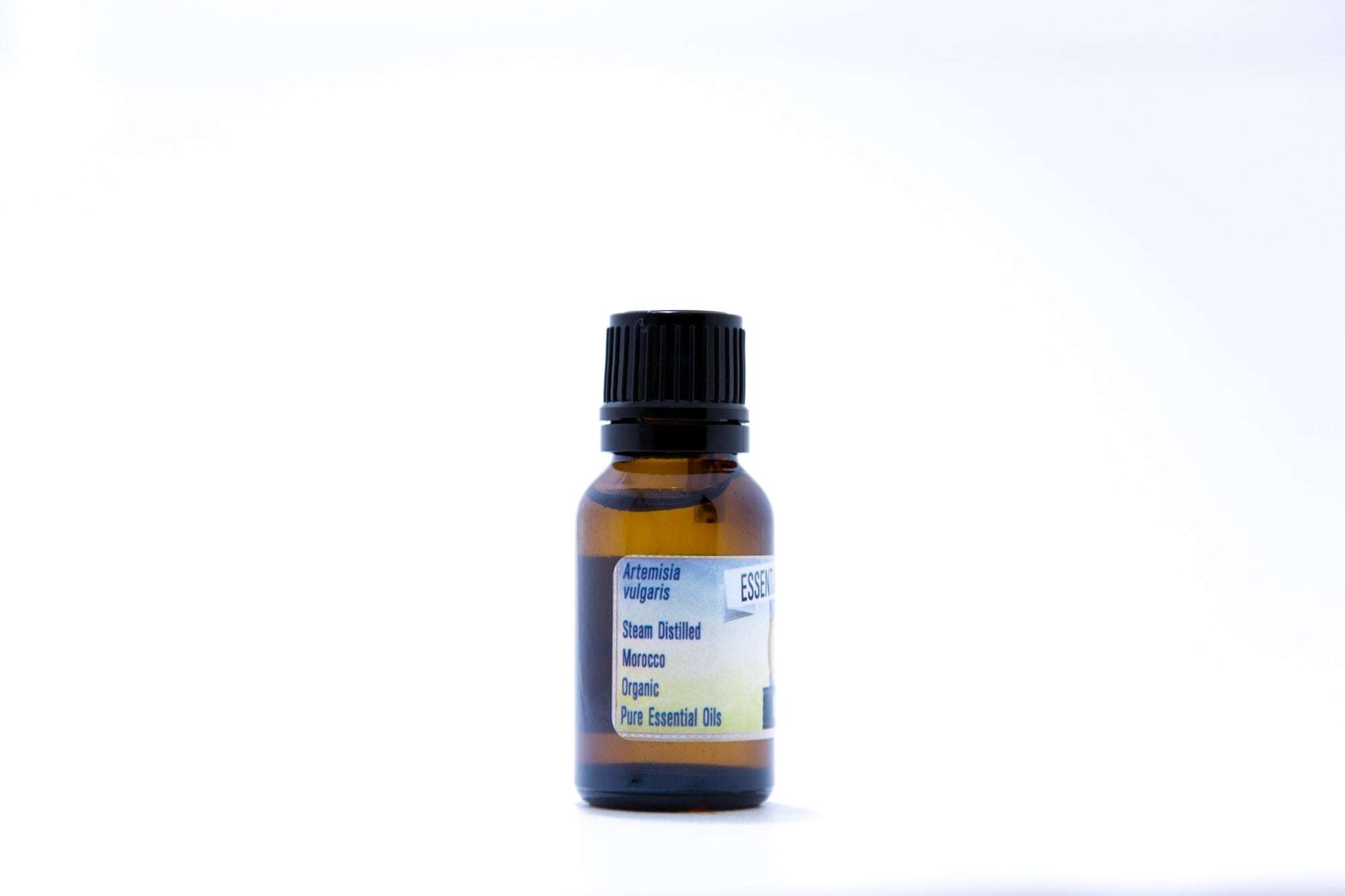 Mugwort (Armoise) - Image 3