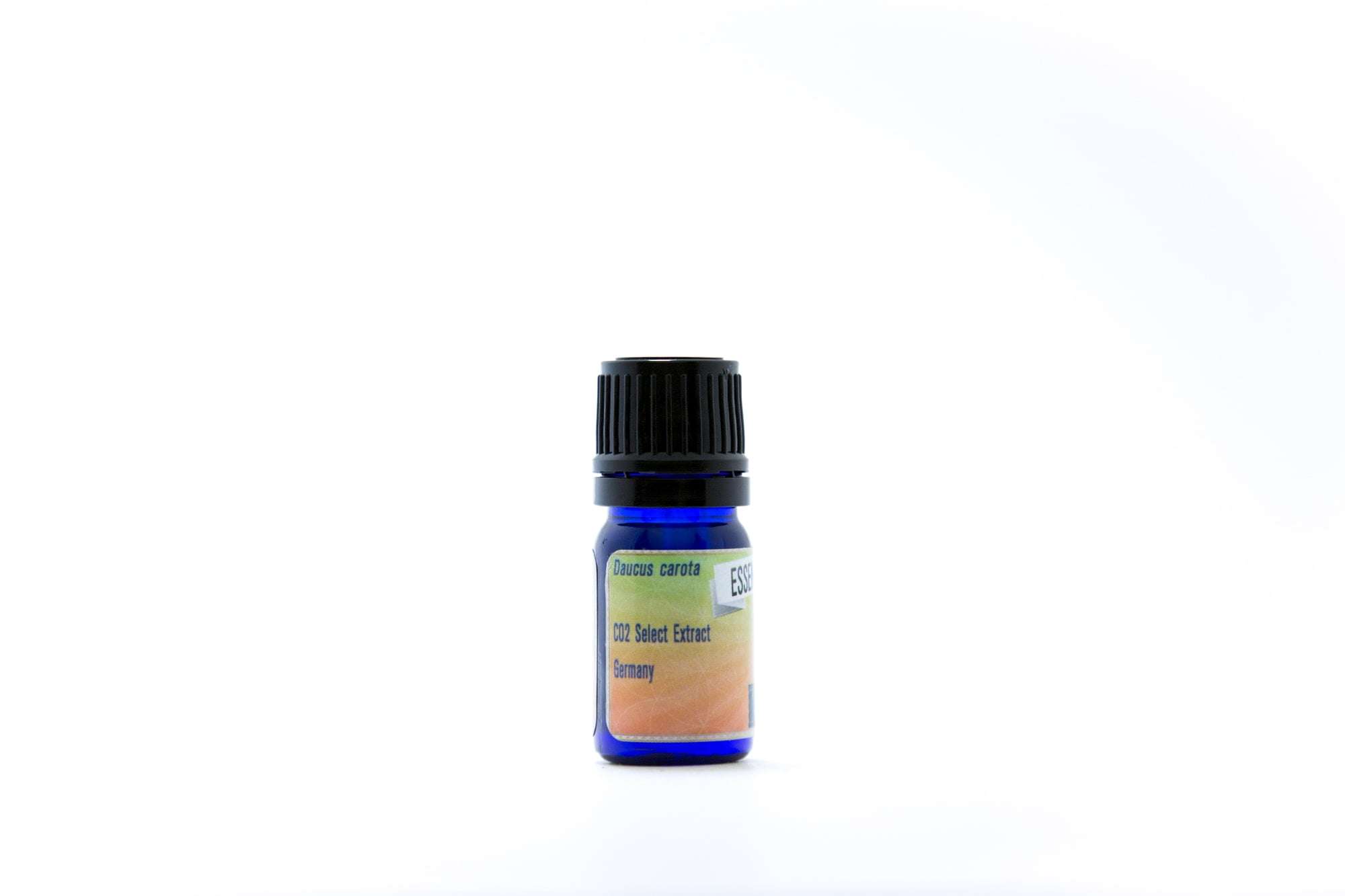 Carrot Seed (CO2) - Image 3