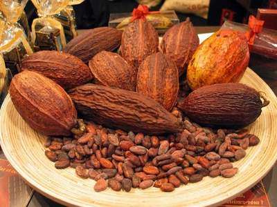 Cacao Absolute - Image 3