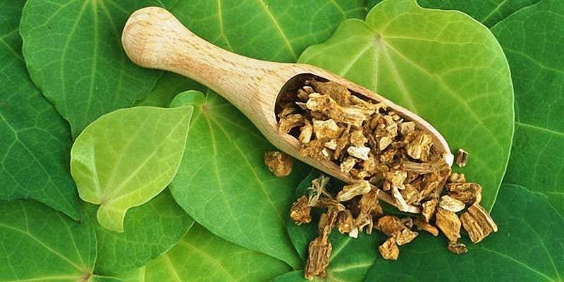 Kava Tincture Package