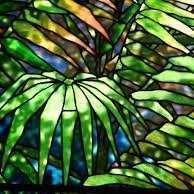 Mossy Fern