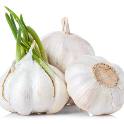 Garlic Extract (CO2)