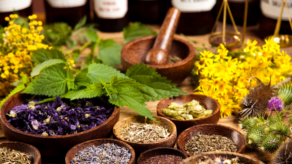 Assorted Medicinal Herbs For Wild Lettuce