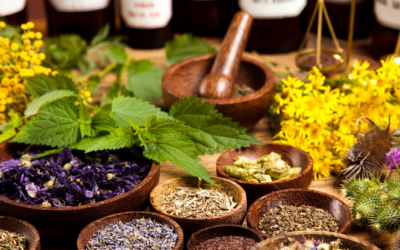 Wild Lettuce Extract: Benefits, Uses, And What To Expect      Â