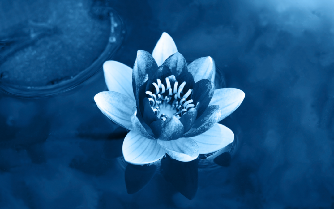 Blue Lotus Spiritual Meaning: Ancient Symbolism And Modern Use