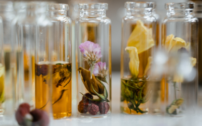 Damiana Benefits: What This Aphrodisiac Leaf Can And Cannot Do