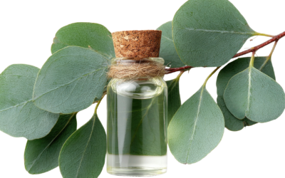 How To Use Respire: EOW’s Best-Selling Respiratory Blend